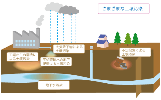 tsuchi-chart-2.gif